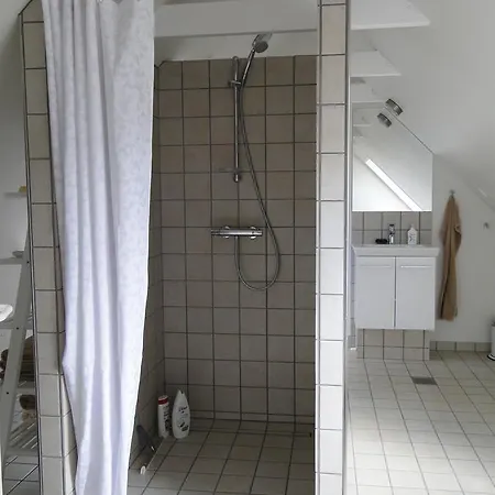 فندق مبيت وإفطار Dyssegaard *