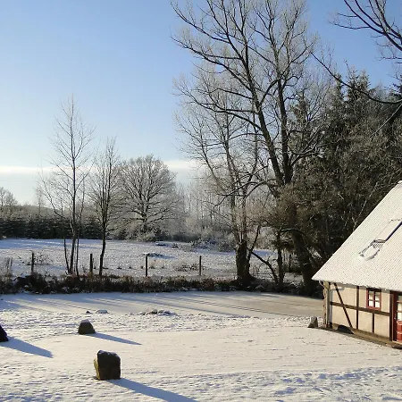 Dyssegaard Skallerup