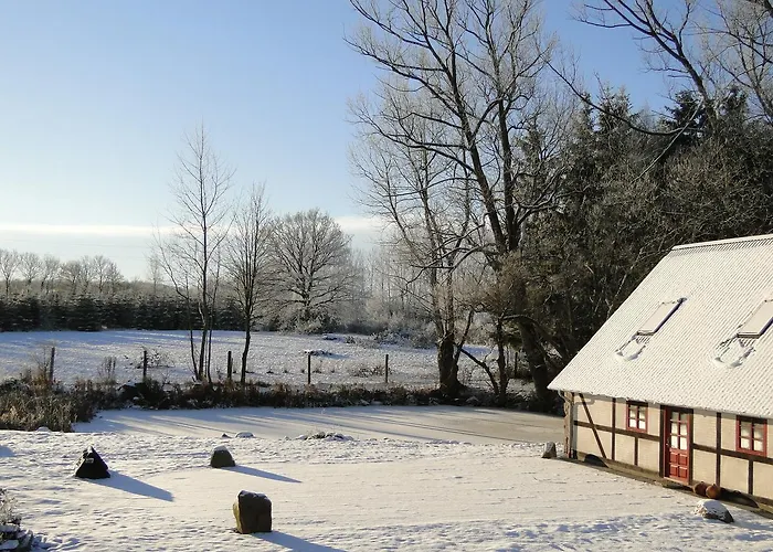 Dyssegaard Skallerup